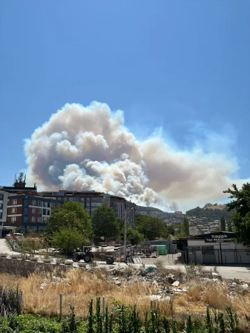 Manisa'da Orman Yangınları Mücadelesi: Şehzadeler ve Alaşehir Alarmda
