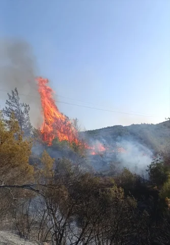 Hatay Yayladağı'nda Orman Yangını Kontrol Altına Alınmaya Çalışılıyor