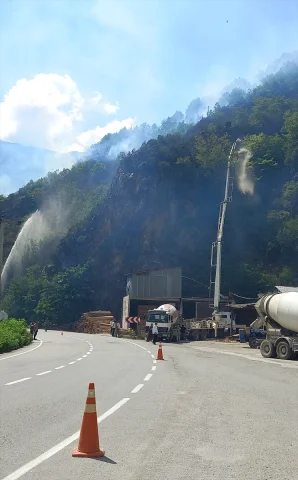 Gümüşhane'de Korkutan Yangın Söndürüldü – 15 Hektar Etkilend...