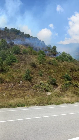 Gümüşhane'de Korkutan Yangın Söndürüldü – 15 Hektar Etkilendi