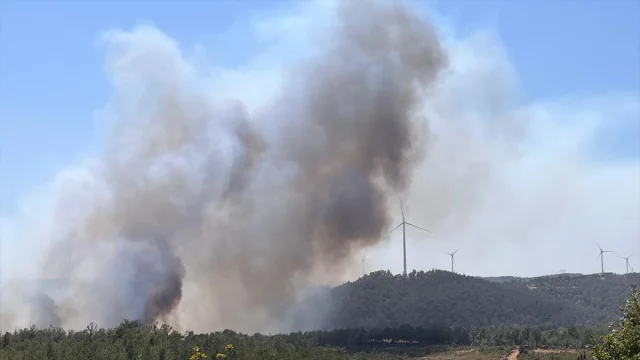 Çanakkale Orman Yangını Söndürülmeye Çalışılıyor