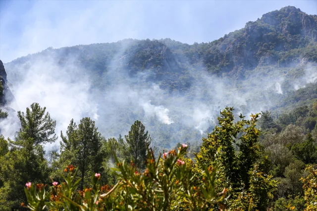 Anamur'daki Dev Orman Yangını Herkesi Korkutuyor