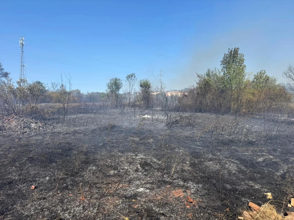 Bartın'da Alevlerle Mücadele Zamana Karşı Yarış Oldu