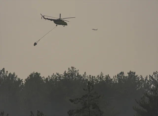 İzmir'de Orman Yangınında Şok Gelişme: Kaynak Ustası Tutuklandı