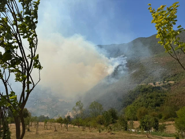 Bartın'daki Orman Yangını Zamanda Yarış: Müdahale Nasıl Başa...