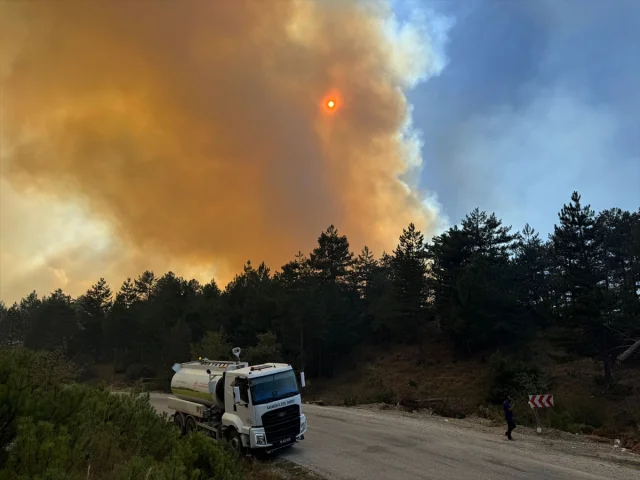 Karabük'te Orman Yangını: Hemen Müdahale Edildi