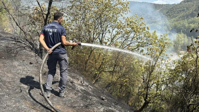 Safranbolu'da Korkutan Yangın: Ormanda Büyüyen Alevler Kontrol Altında
