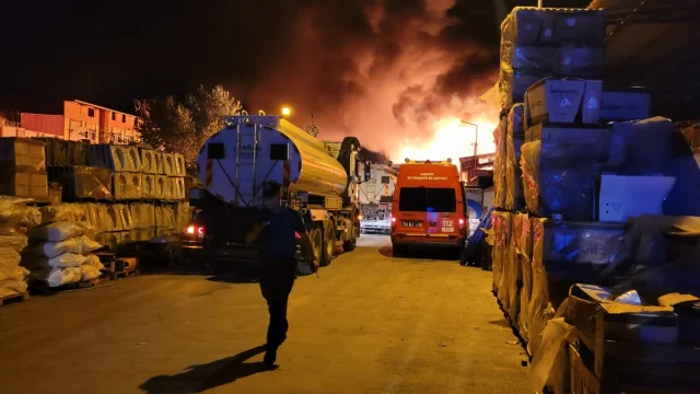 Samsun'da Kereste Fabrikası Alevlere Teslim