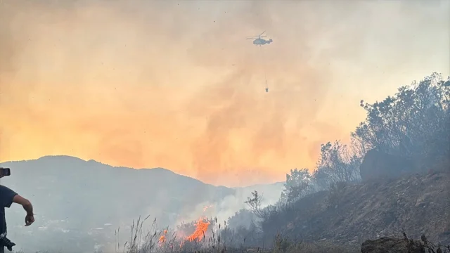 Antalya'nın Alanya İlçesindeki Korkutan Yangın Hakkında Her Şey