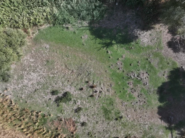 Edirne'de Kuraklığın Yeni Kurbanı: Musabeyli Göleti Kurudu