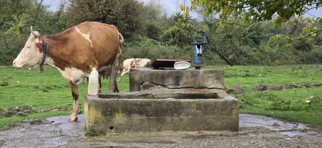 Zonguldak'ta 17 Yaşındaki Kızın Ölümünde Şok Gelişme