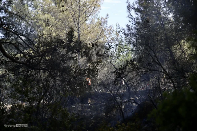 Fethiye'de ormanlık alanda çıkan yangın kontrol altına alındı