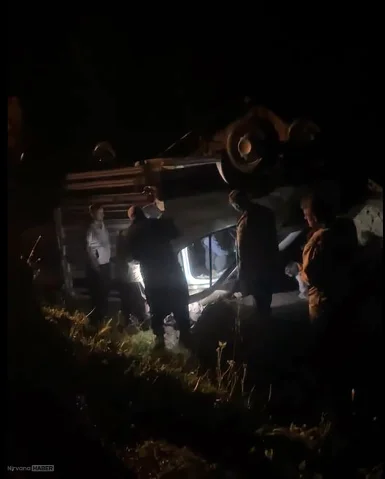 Adana'da küçükbaş hayvan yüklü kamyonet devrildi