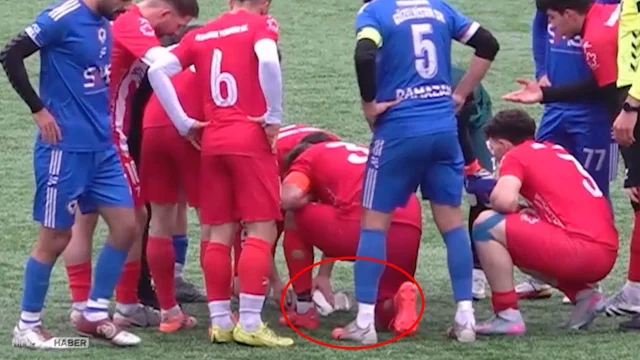 Böylesi ilk kez görüldü! Amatör maçta ilginç kareler: Sahada martıya kalp masajı...
