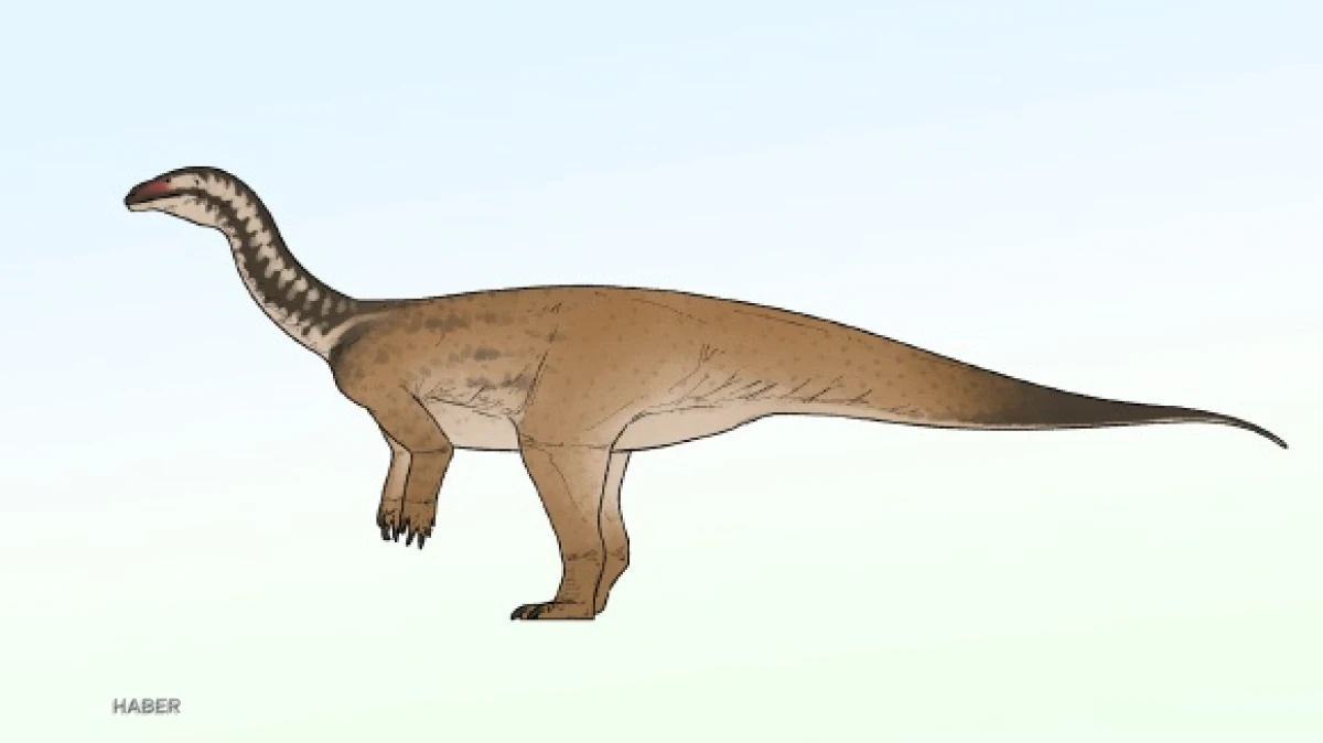 Çin'de yeni dinozor türü keşfedildi
