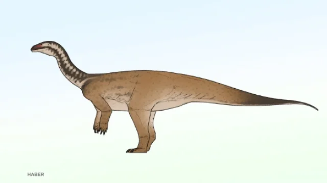 Çin'de yeni dinozor türü keşfedildi