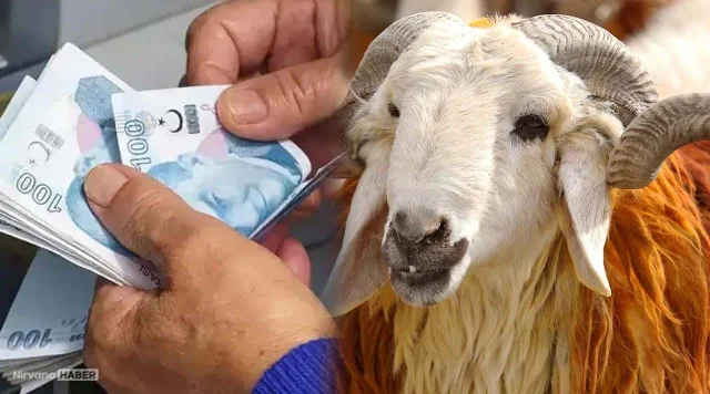 Bayram ikramiyeleri ne zaman yatacak? Erken ödeme yapılacak mı? Bakan açıkladı