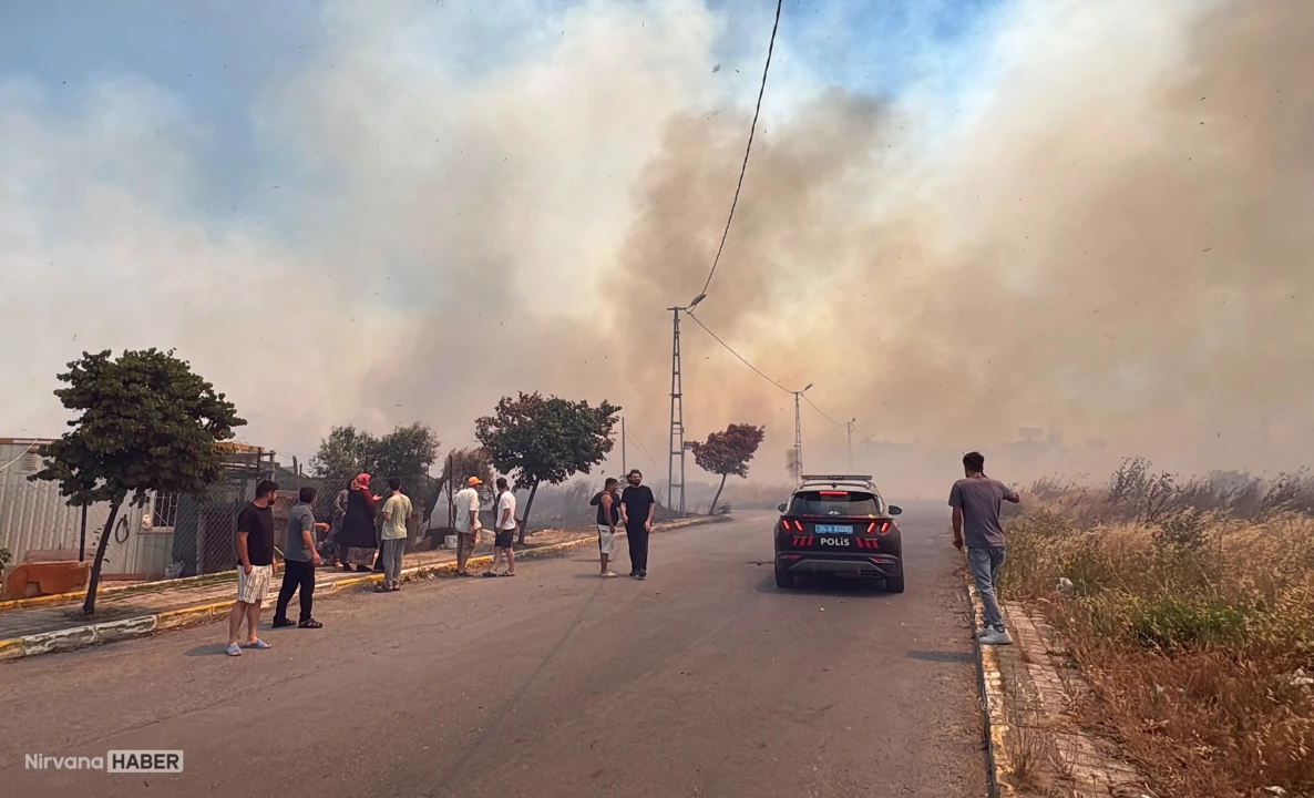 Silivri'de kırsal alanda çıkan yangına müdahale ediliyor