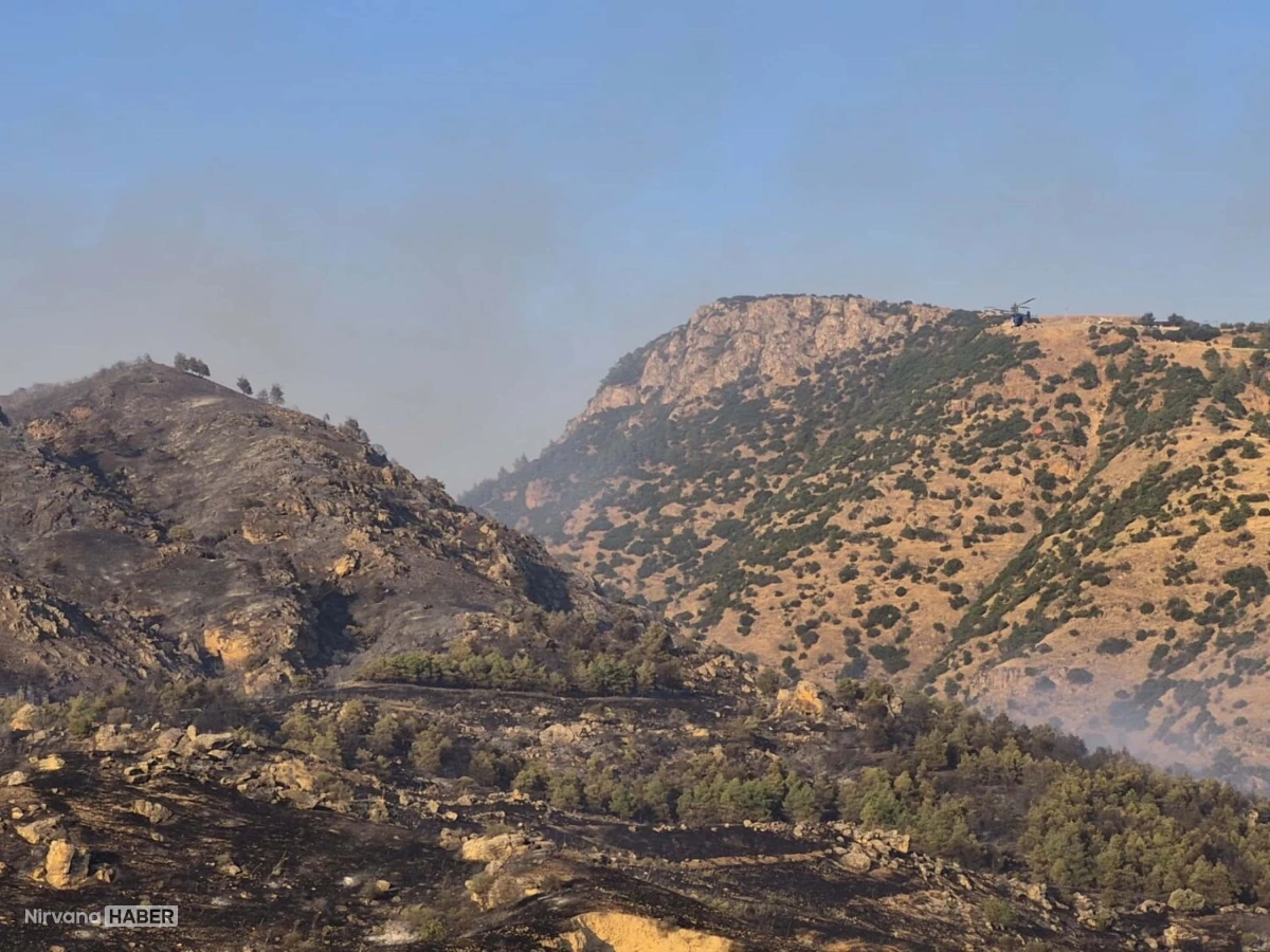 Denizli'de orman yangını! Pamukkale yakınında alevler yükseldi