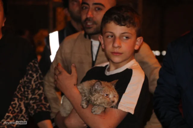 Antalya’da yangında mahsur kalan ‘Duman’ isimli kedi itfaiye tarafından kurtarıldı