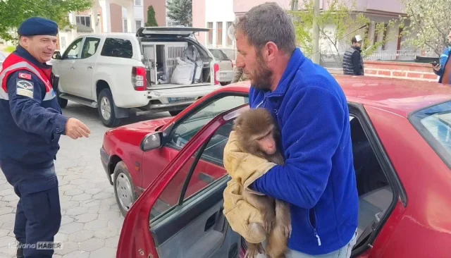 Yozgat’tın Sarıkaya ilçesinde maymun bulundu