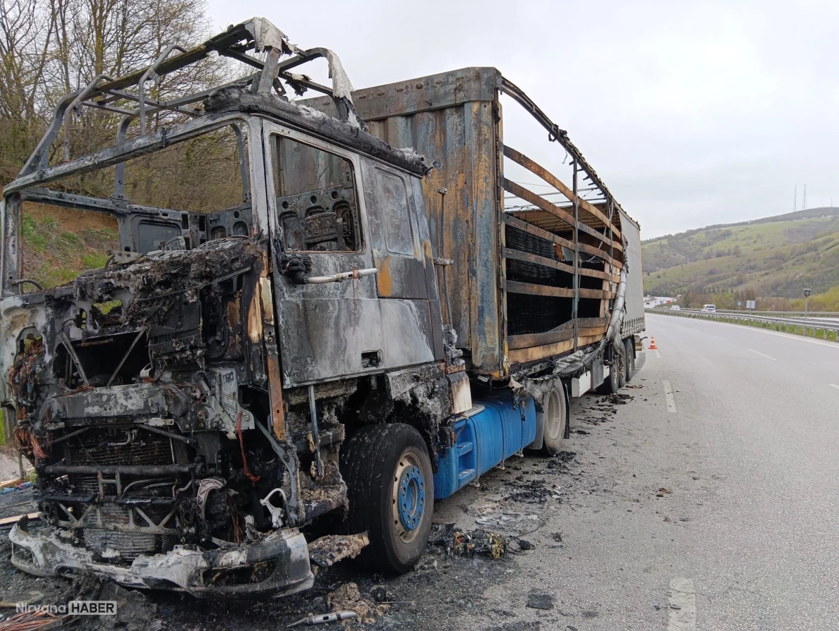 Samsun Kavak yolunda ahşap yüklü tır alevlere teslim oldu