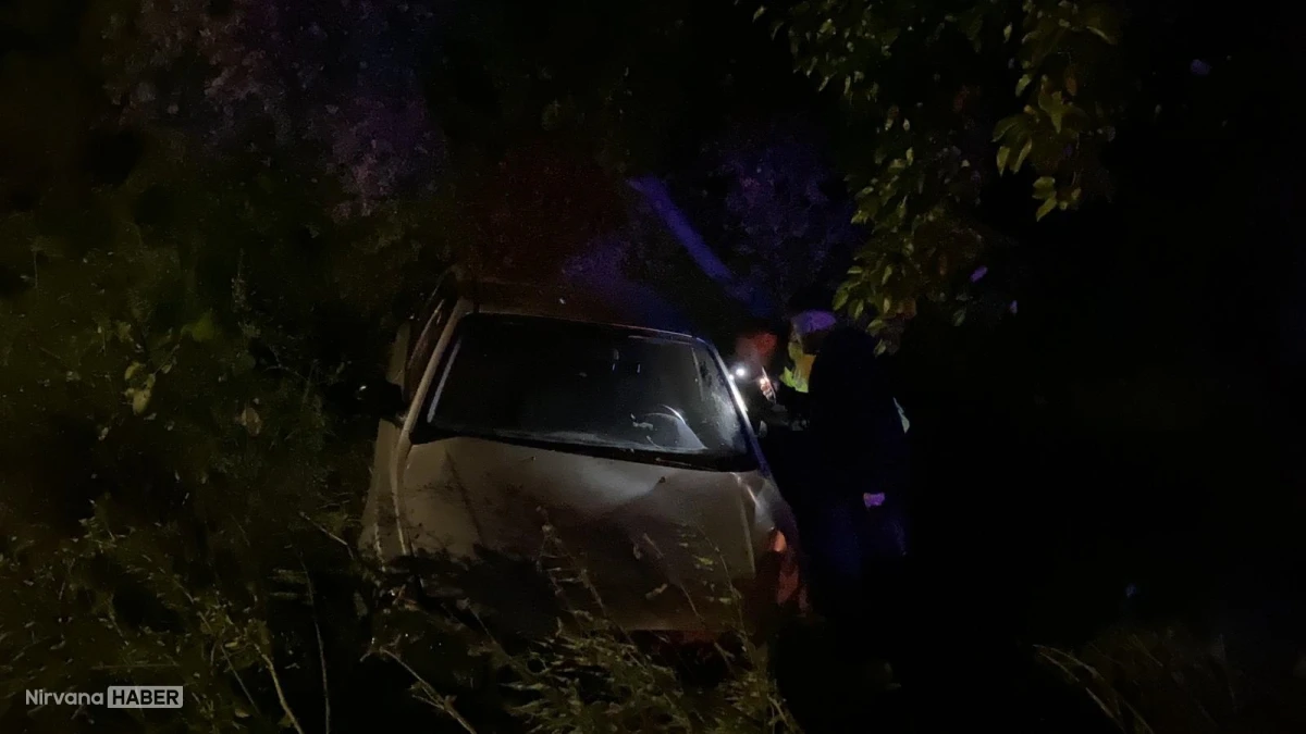 Bursa'da otomobil zeytinliğe uçtu: 4 kişi yaralandı