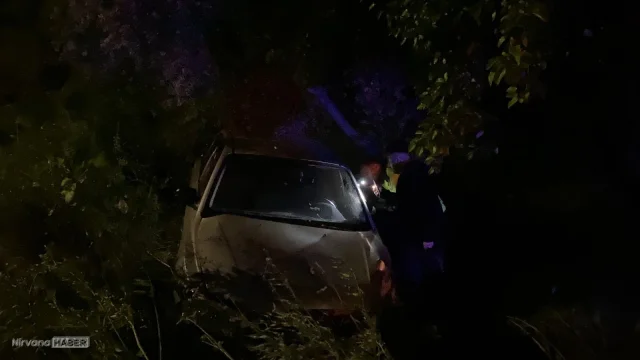 Bursa'da otomobil zeytinliğe uçtu: 4 kişi yaralandı