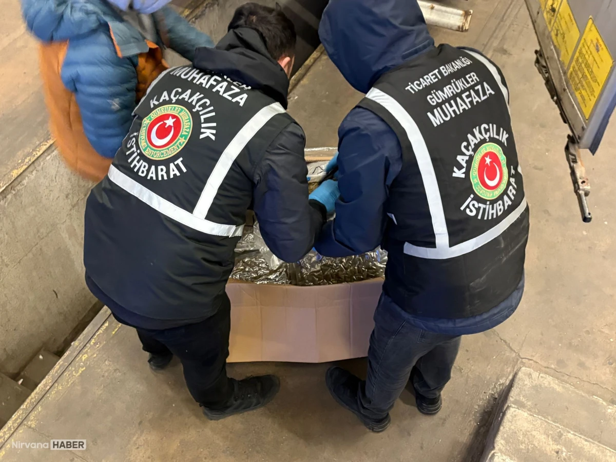 Gümrüklerde dev uyuşturucu operasyonu: Bir haftada 659 kilogram