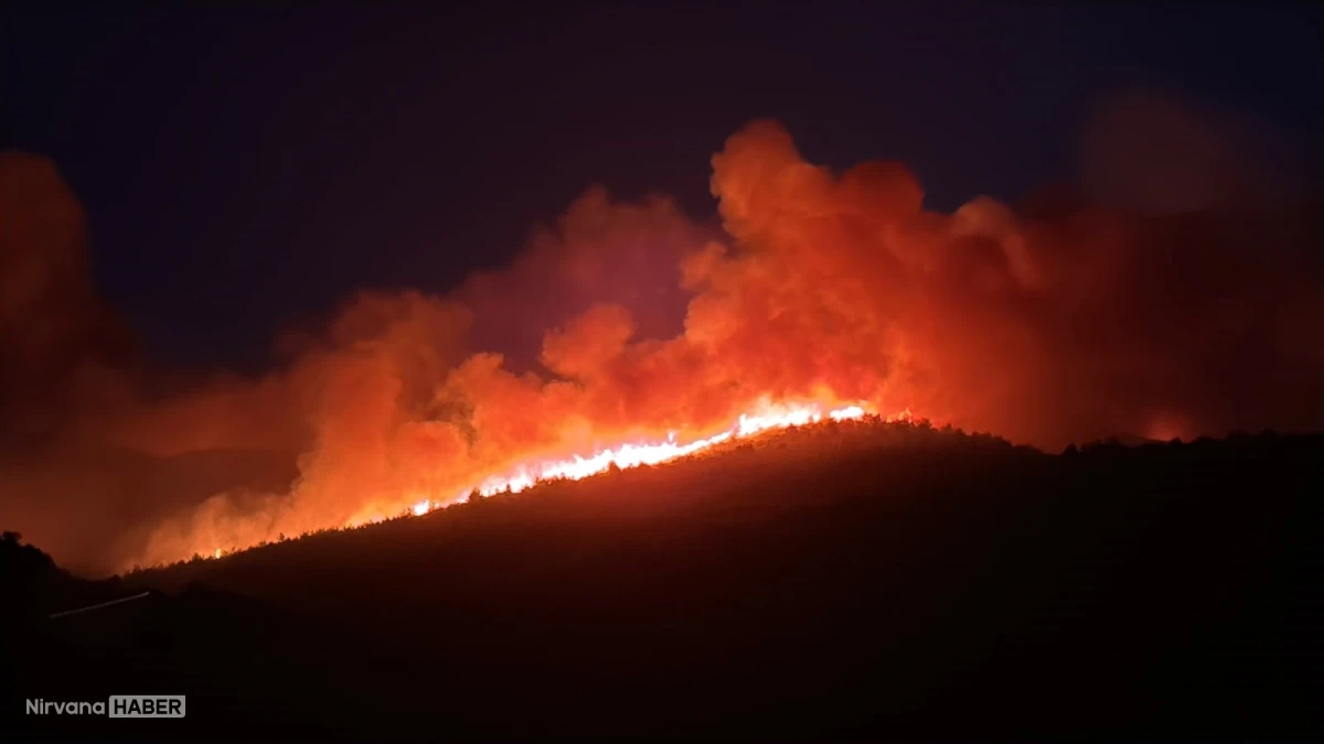 Milas yangınında son durum: 1120 kişi tahliye edildi, müdahale sürüyor