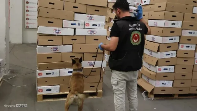Kapıkule Sınır Kapısı'nda 1 tondan fazla uyuşturucu ele geçirildi