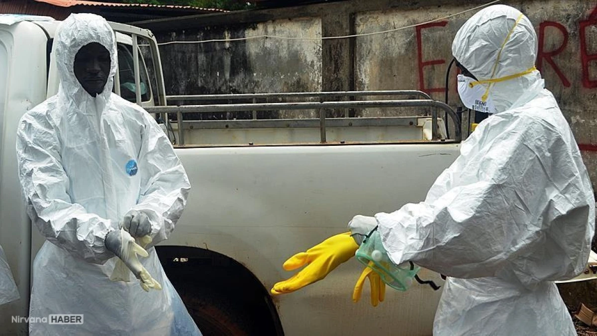 Kongo Demokratik Cumhuriyeti'nde ebola virüsü alarmı!