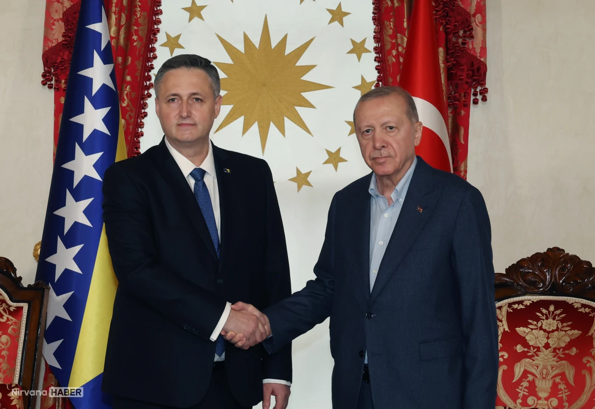 Erdoğan, Becirovic’i İstanbul’da resmi törenle karşıladı