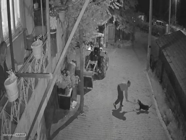 İzmit’te kan donduran olay: Köpeği demir çubukla katletti