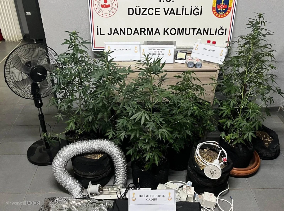 Düzce'de uyuşturucu operasyonu: Evinin bodrumuna düzenek kuran şüpheli yakalandı