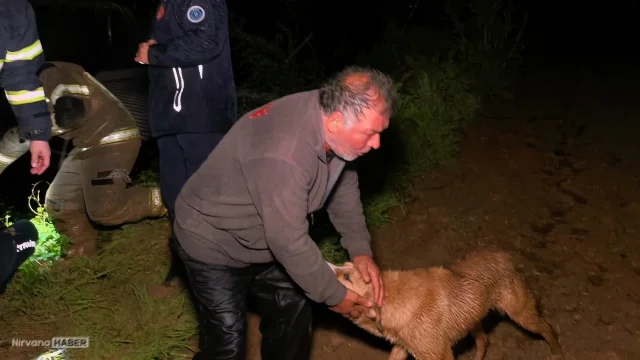 Bursa'da sel kabusu: Çiftlik sahibi ve köpeği kurtarıldı