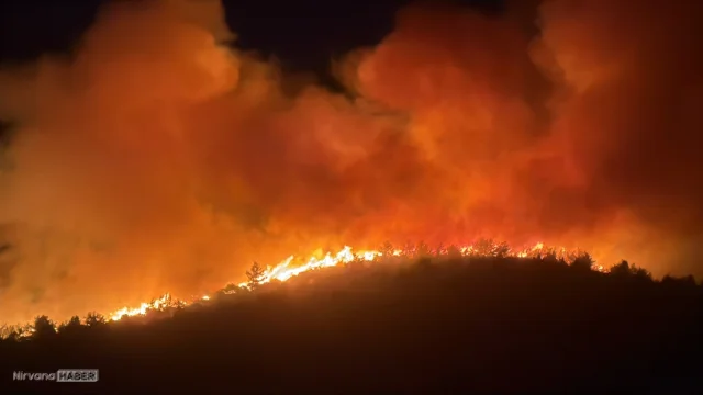 Milas yangınında son durum: 1120 kişi tahliye edildi, müdahale sürüyor