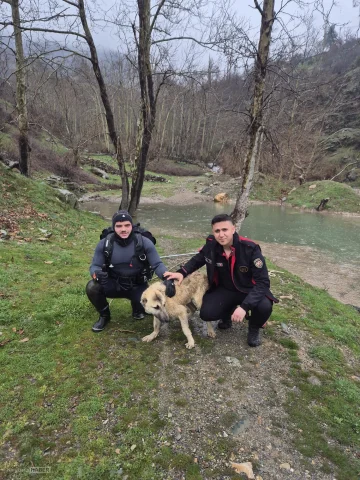 Kahramanmaraş'ta suyla çevrili alanda mahsur kalan köpeği itfaiye eri kurtardı
