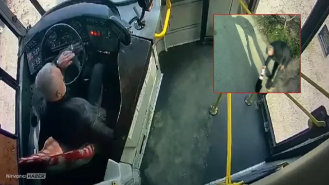 Vicdanlı şoförden anlamlı hareket! Otobüsü durdurup can kurtardı