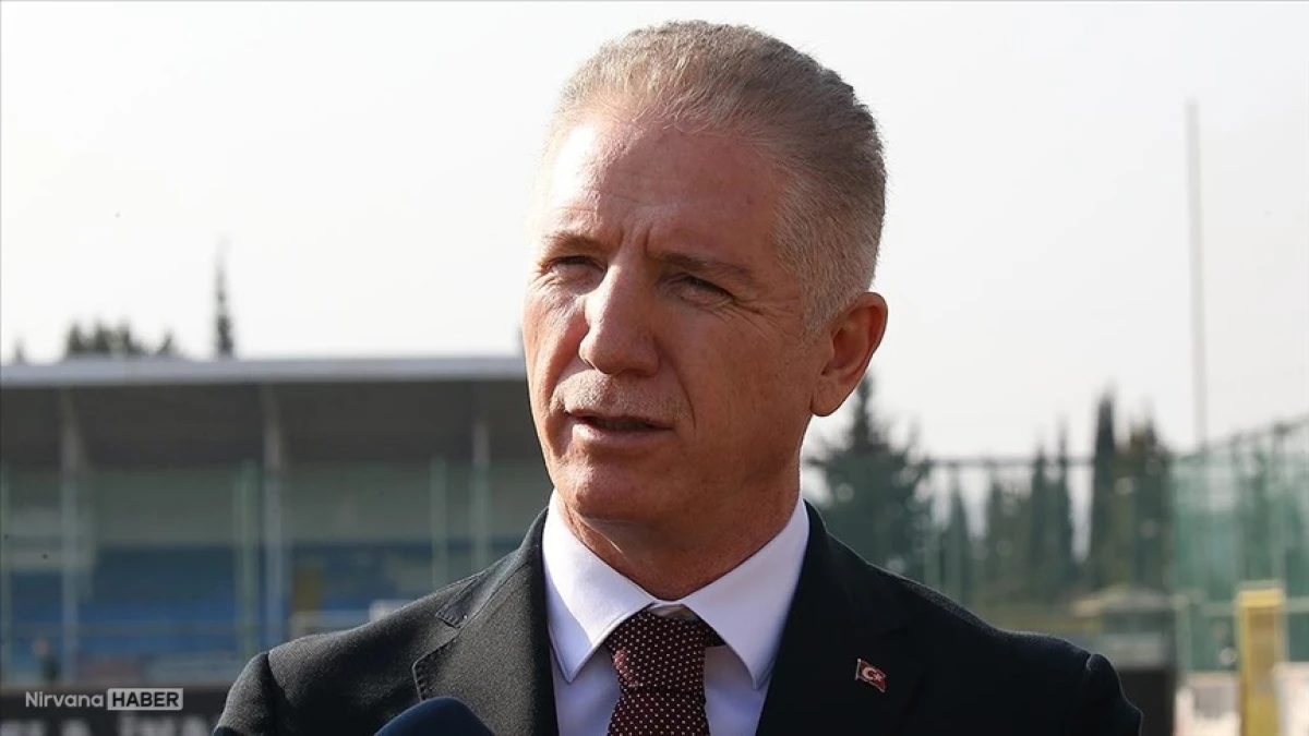 İstanbul'da sahipsiz hayvanlar toplanıyor: Vali Gül oranı açıkladı!