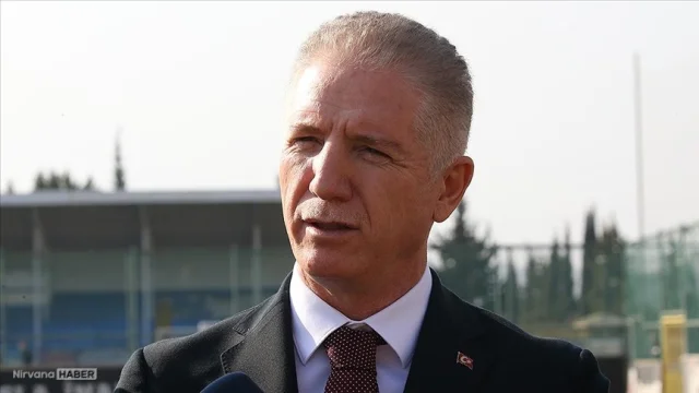 İstanbul'da sahipsiz hayvanlar toplanıyor: Vali Gül oranı açıkladı!