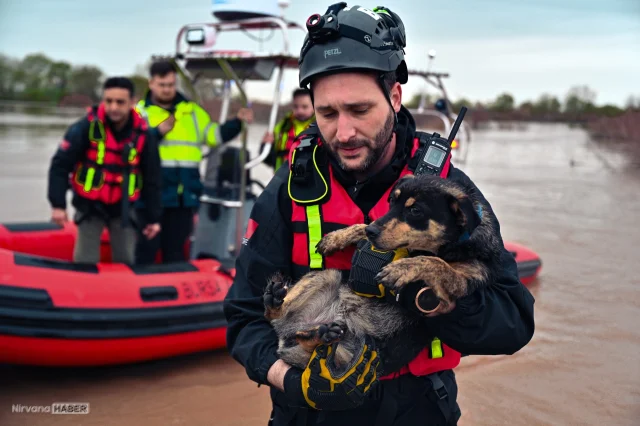 Bursa'da taşkın sırasında bağ evinde mahsur kalan köpekler kurtarıldı