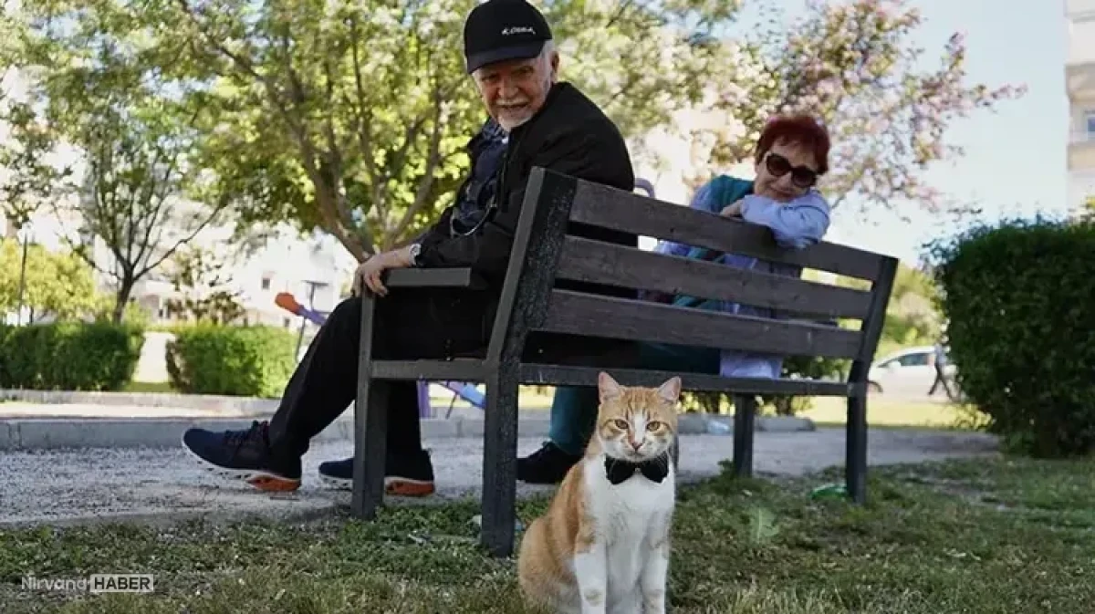 Papyonlu kedi Foça emekli çiftin hayatını değiştirdi