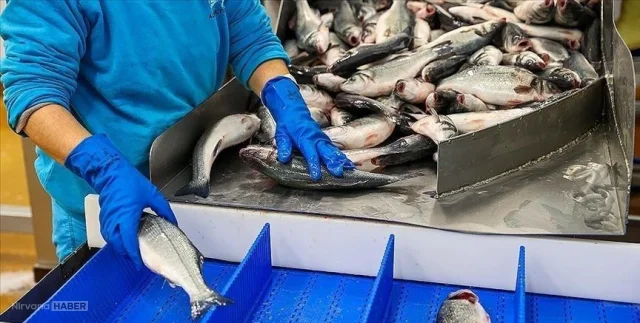 Dünyanın en büyük su ürünleri fuarında Türk rüzgarı!