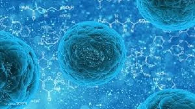 Kapalı alanlara dikkat! Hızla yayınlan Norovirüs Nedir, Belirtileri Nelerdir? İşte cevaplar