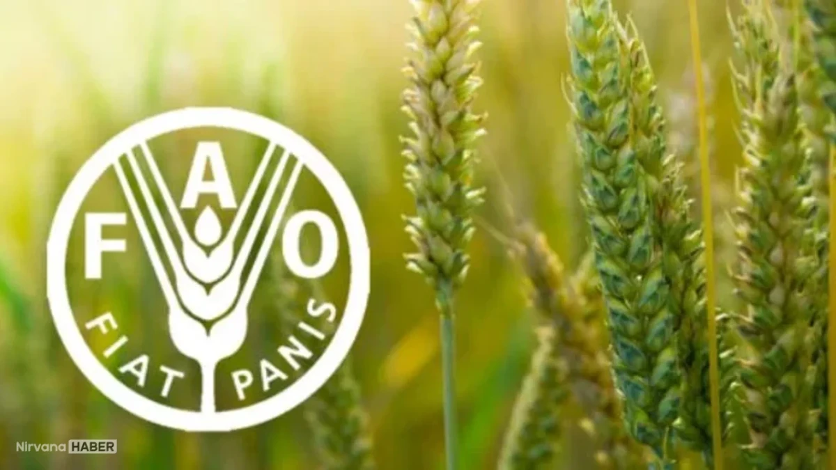 Küresel gıda fiyatları son 38 ayın zirvesinde: FAO’dan kritik 2026 uyarısı