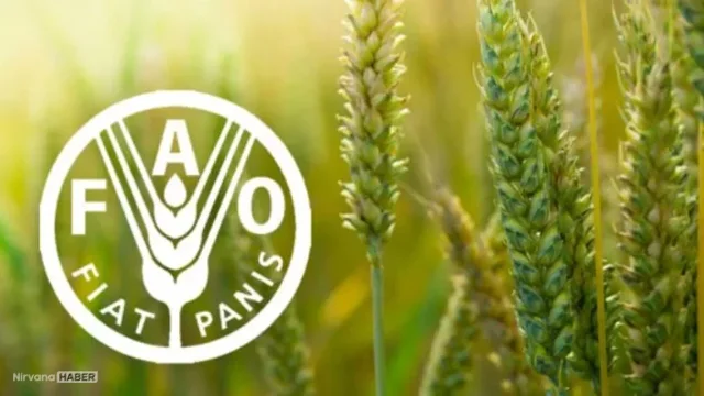 Küresel gıda fiyatları son 38 ayın zirvesinde: FAO’dan kritik 2026 uyarısı