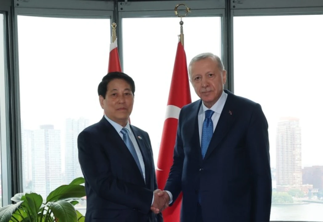 Erdoğan ve Luong Cuong'dan Sürpriz Görüşme: İşte Zirvenin Detayları