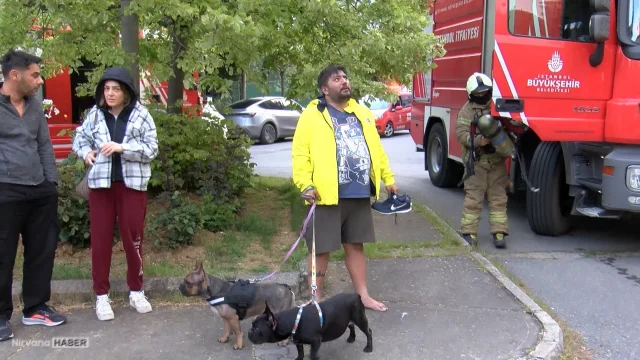 Ataşehir'de yangın: Engelli köpeğini kurtaramayan adam gözyaşlarına boğuldu