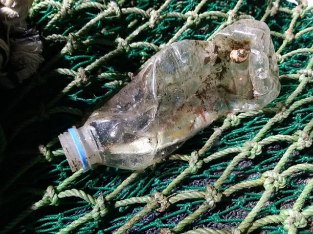 Karadeniz'deki Plastiklerin Üzerinde Yaşayan Mikroorganizmal...